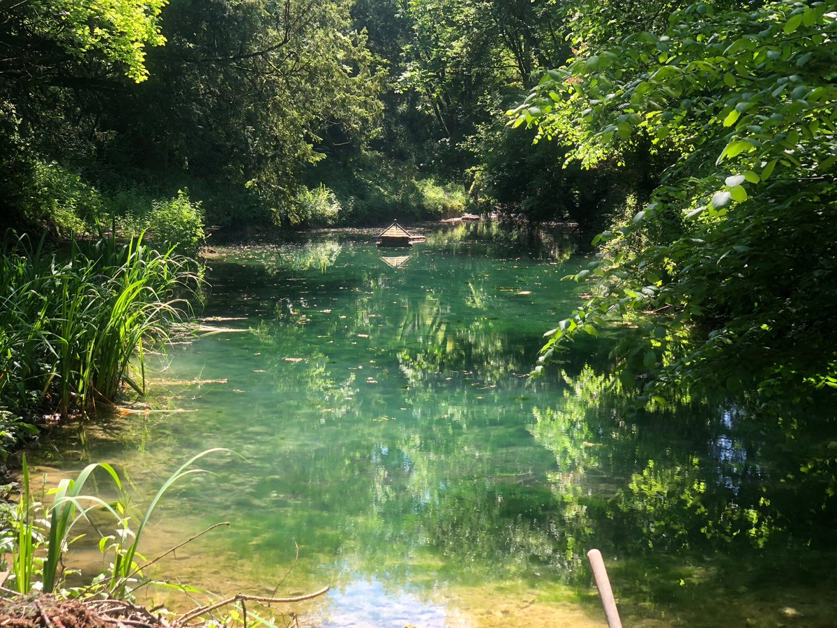 FitzalanHouse's tweet photo. A duck pond like no other tucked away in #cocking 🐾😊 https://t.co/Hf1ufISp4k