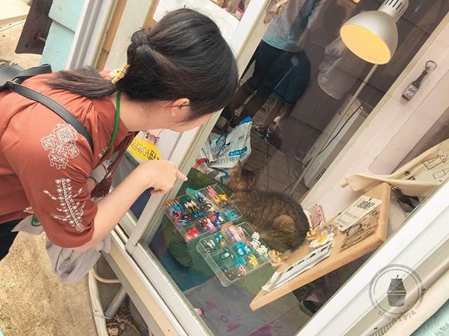 yhblairc's tweet photo. 甘川村文化村，
調戲別人家貓貓~ https://t.co/DlT8kBmpqx https://t.co/SDvCdBYSsA