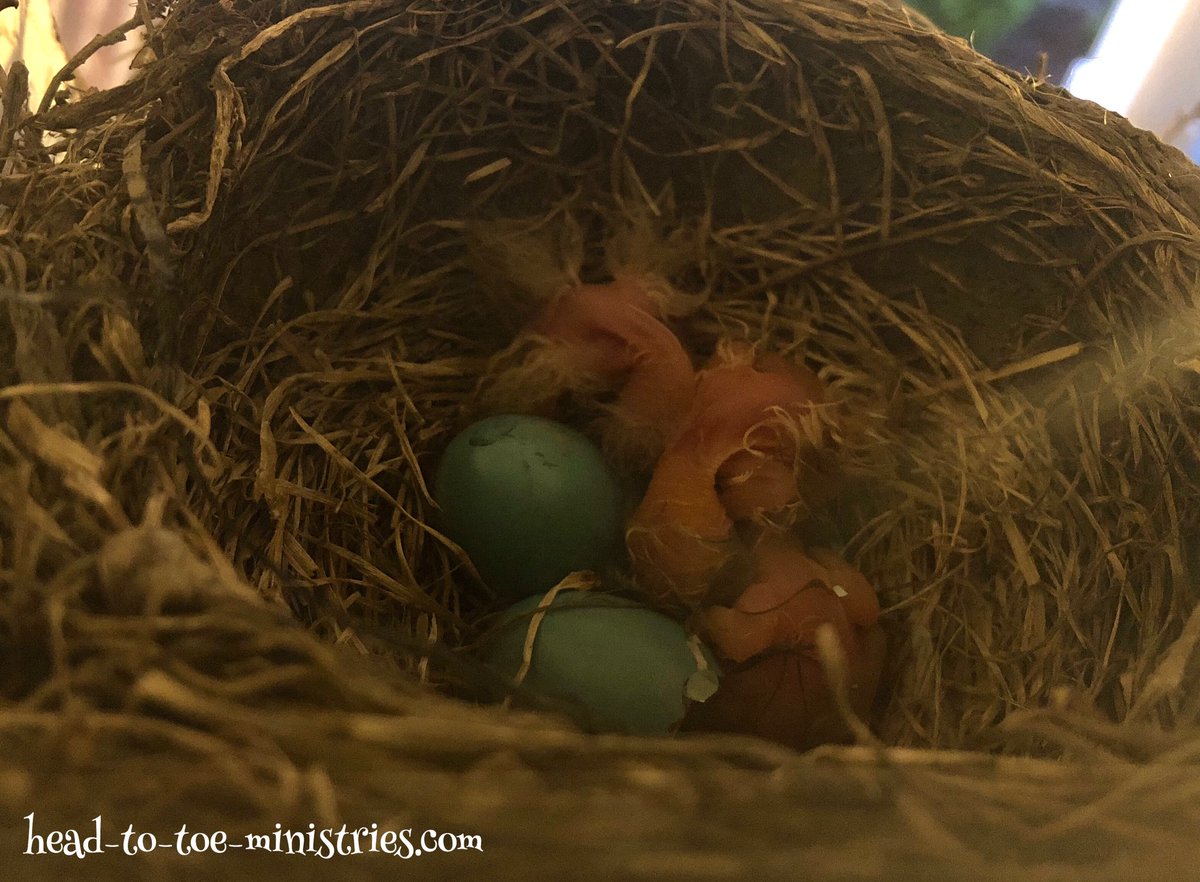 head2toemin's tweet photo. New life. New day. Keep praising. Look for God’s miracles. #iamHis https://t.co/KtcyvTP34L