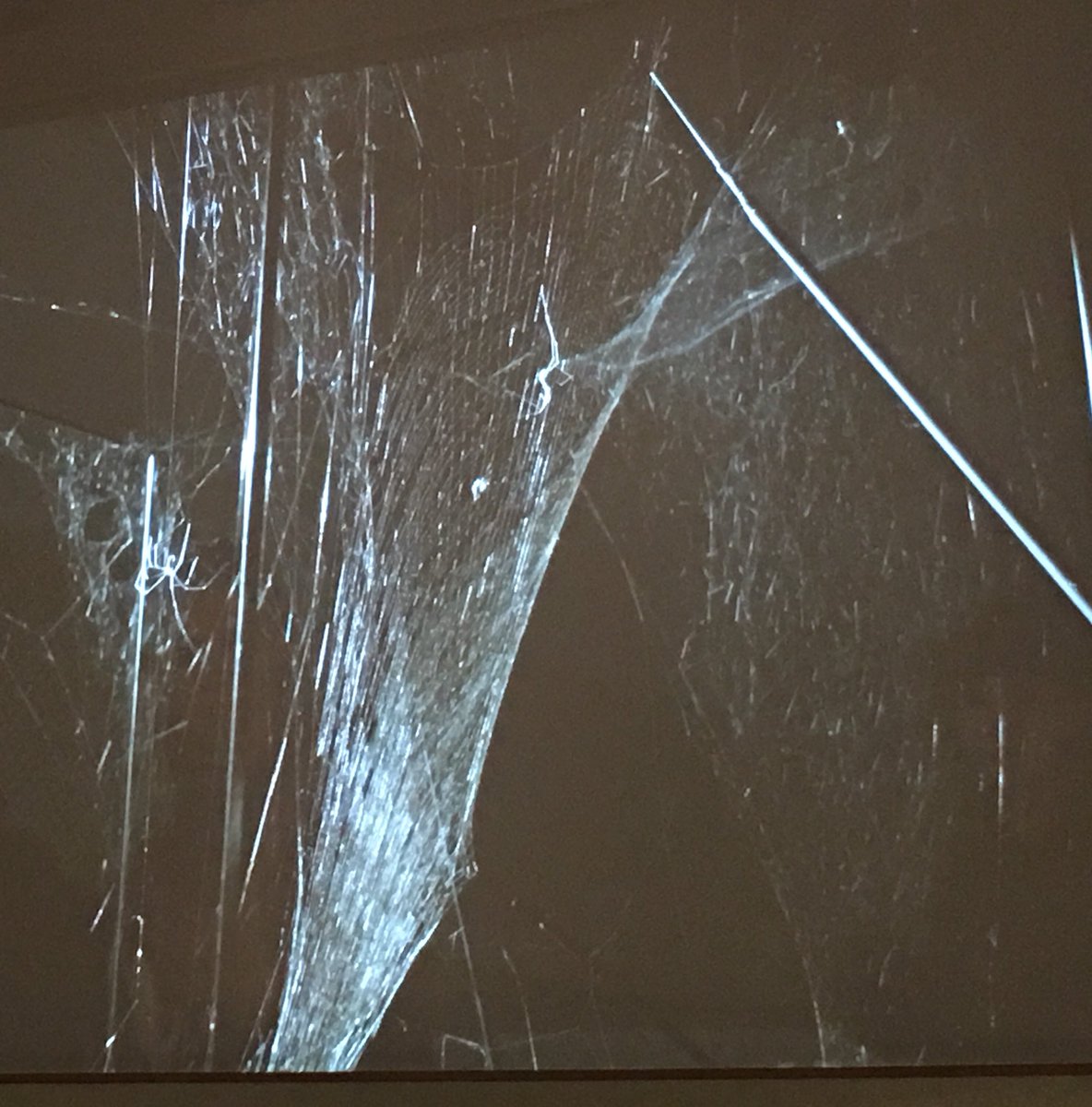 Great Hybrid Encounters event in Berlin Friday night with friends of @BiotopiaMuseum <a href="/michaeljohng/">Michael John Gorman</a> <a href="/whybirdssing/">David Rothenberg</a> @alexjordanbio <a href="/tomassaraceno/">Studio Tomás Saraceno</a>