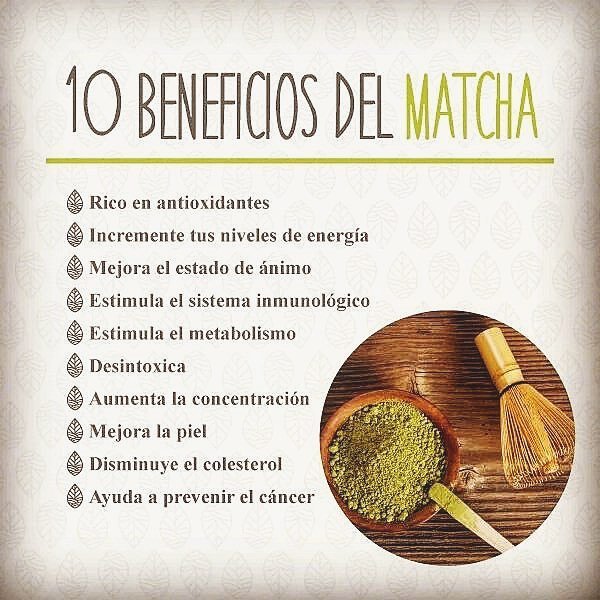 matchachile's tweet photo. Si aún no sabes por qué debes comenzar a tomar #TéMatcha, aquí tienes 10 razones importantes 💚
*Compras con envío a todo Chile en https://t.co/hVyVwrwhg1 👈🏻
———
#matcha #matchadetox #infusiones #téverde #antioxidantes #detox #matchalovers #dailymatc… https://t.co/T0vaKTQrfU https://t.co/mmEvcmNoZi
