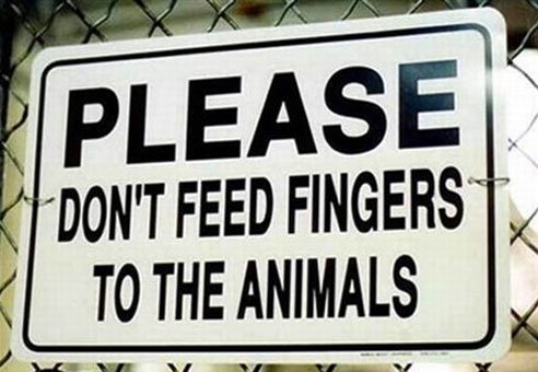 bigdaddyssigns's tweet photo. Please don't feed fingers to the animals.
(Not our photo/image. Contact us for credit.)
#BDSSigns #Whatsyoursignsay #funnysigns https://t.co/fpVswhHHwq