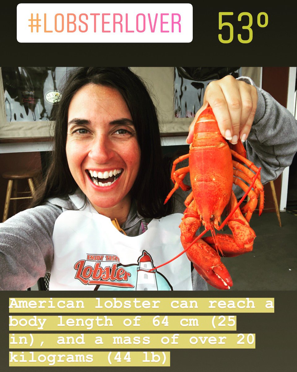 #holycrap !!!!! #maine #boothbay #boothbayharbor #boothbayharbormaine #blessed #happy #4timeemmywinner #usa #lovemybestfriend #lobster #lobsterroll #lobsterlovers #lobstertail #lobster_selfie #travel #travelblogger #travelphotography #nationalgeographic_ #traveltv #traveltips