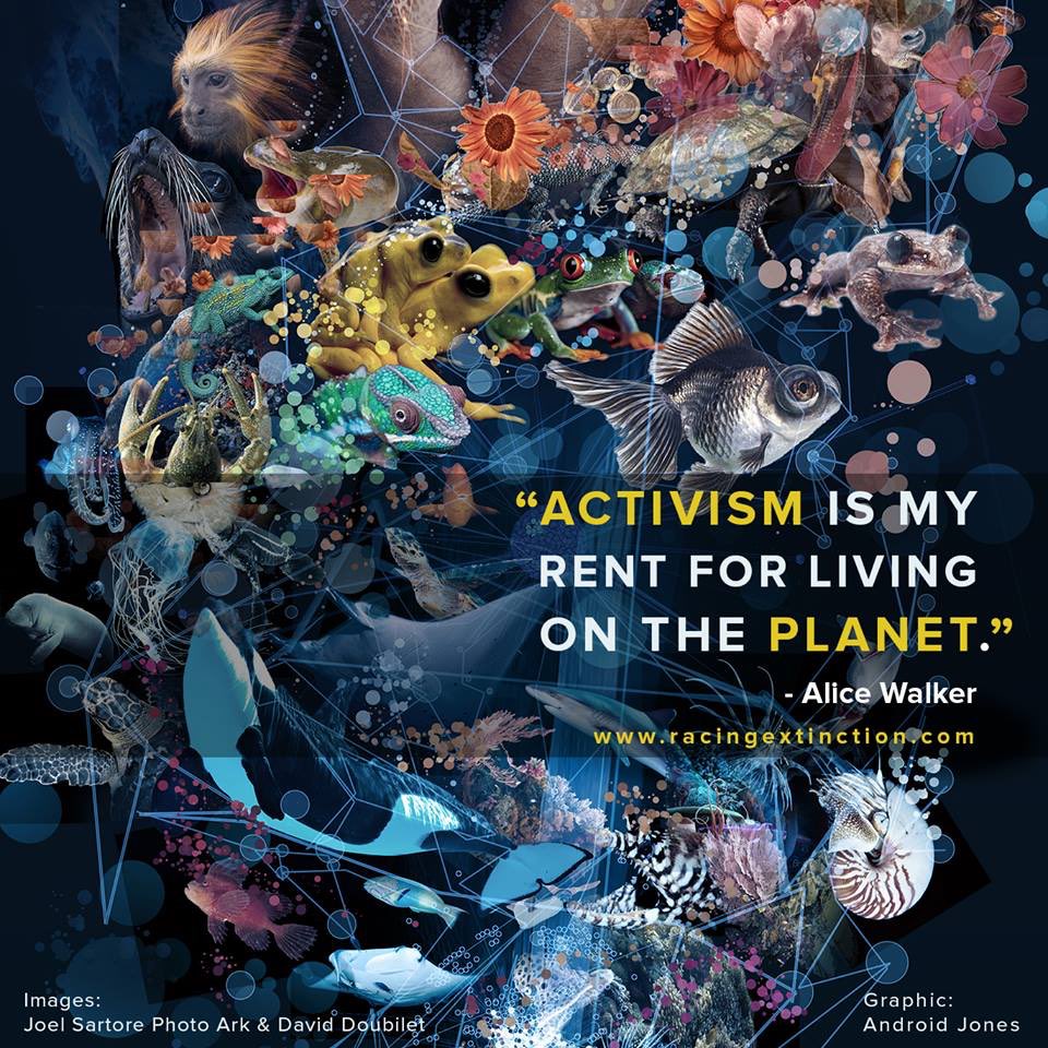 Team4Nature's tweet photo. NATURE gifted us ALL life and continues to do so now!

What have we done in return? - Destroyed well over half of it in just 40 years!

Humanity CAN &amp; MUST do better than this!

RT if YOU AGREE that ACTIVISM is our rent for LIVING on the planet! 

( Image by @RacingXtinction ) https://t.co/qwUmAhecwP