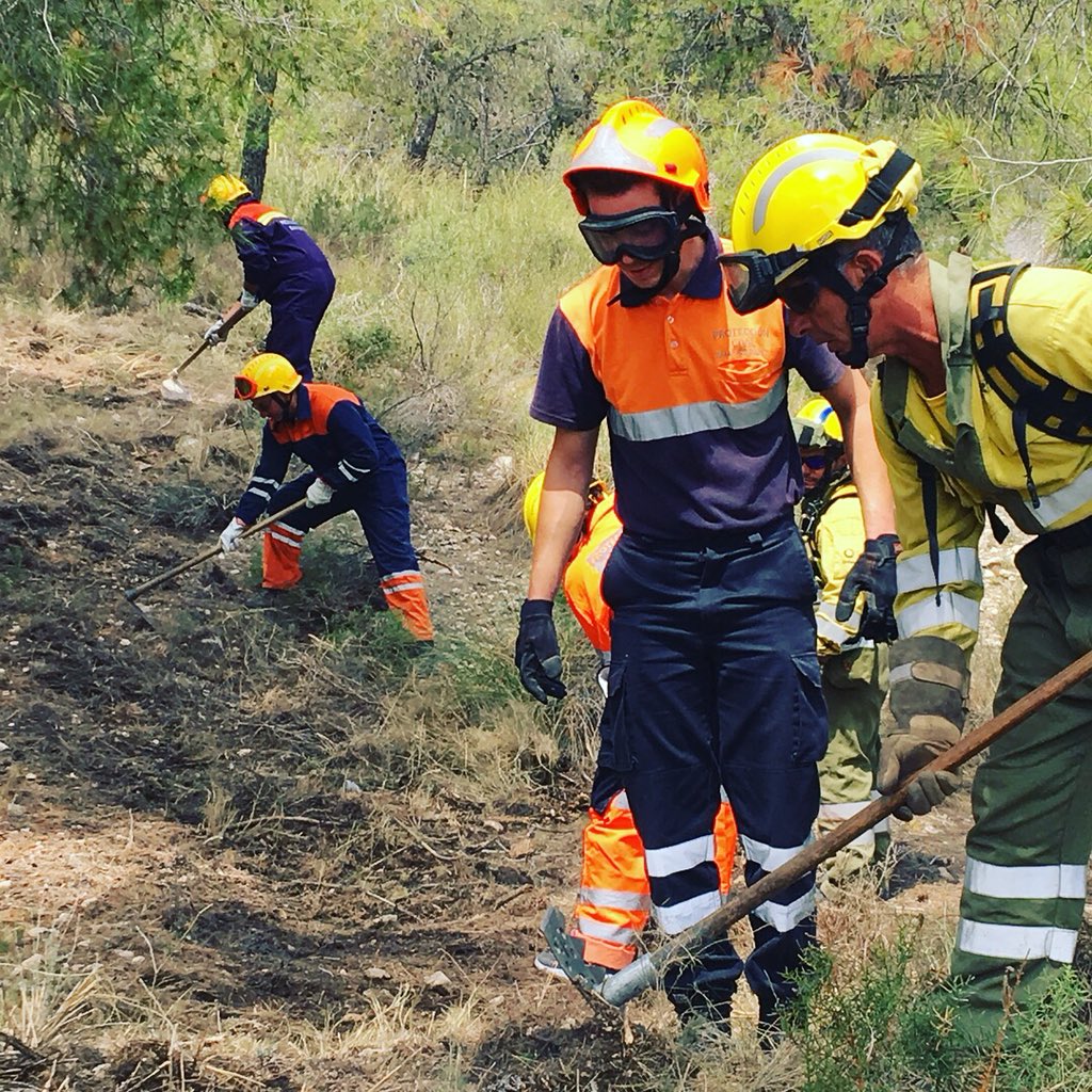 AVPC Valle de Ricote tweet media