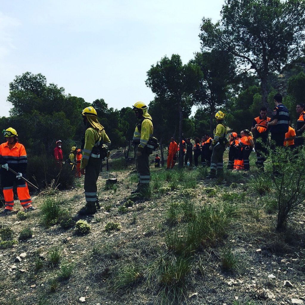 AVPC Valle de Ricote tweet media