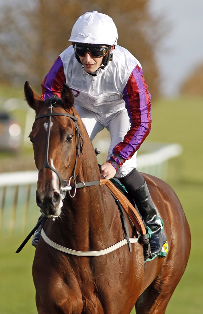 AgaKhanStuds's tweet photo. Laurens, the Gr.1 winning daughter of #Siyouni makes all to win the Gr.1 Prix Saint Alary at @paris_longchamp today. Many congratulations to all her connections @johnedance @karl_burke @AnnaSundstr @sfstud and breeder Melchior-François Mathet! #2ndGroup1 #topclassfilly https://t.co/AUUmFczGTs