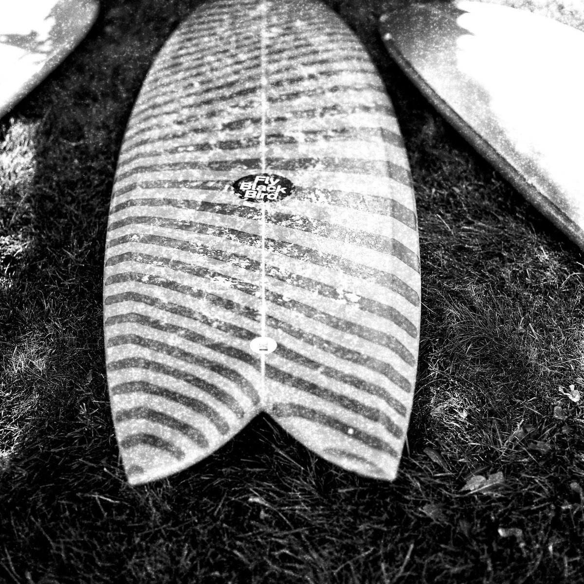 Details... Sardine season is Open...

#analogue #ishotfilm #filmisnotdead #hasselblad500cm #hasselblad #inspiration #blackandwhite #bw #b&w #monochrome #mono #board #seaside #beach #beachdays #people #portugal #film #memories #lifestyle #surf #surf #shape #moments #inspiration