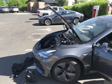 Ver imagem no Twitter