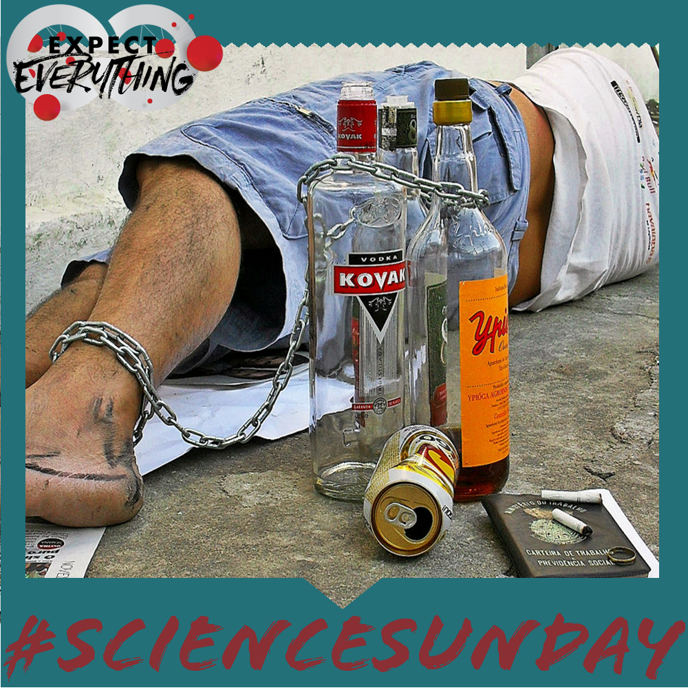 Expect Everything tweet media