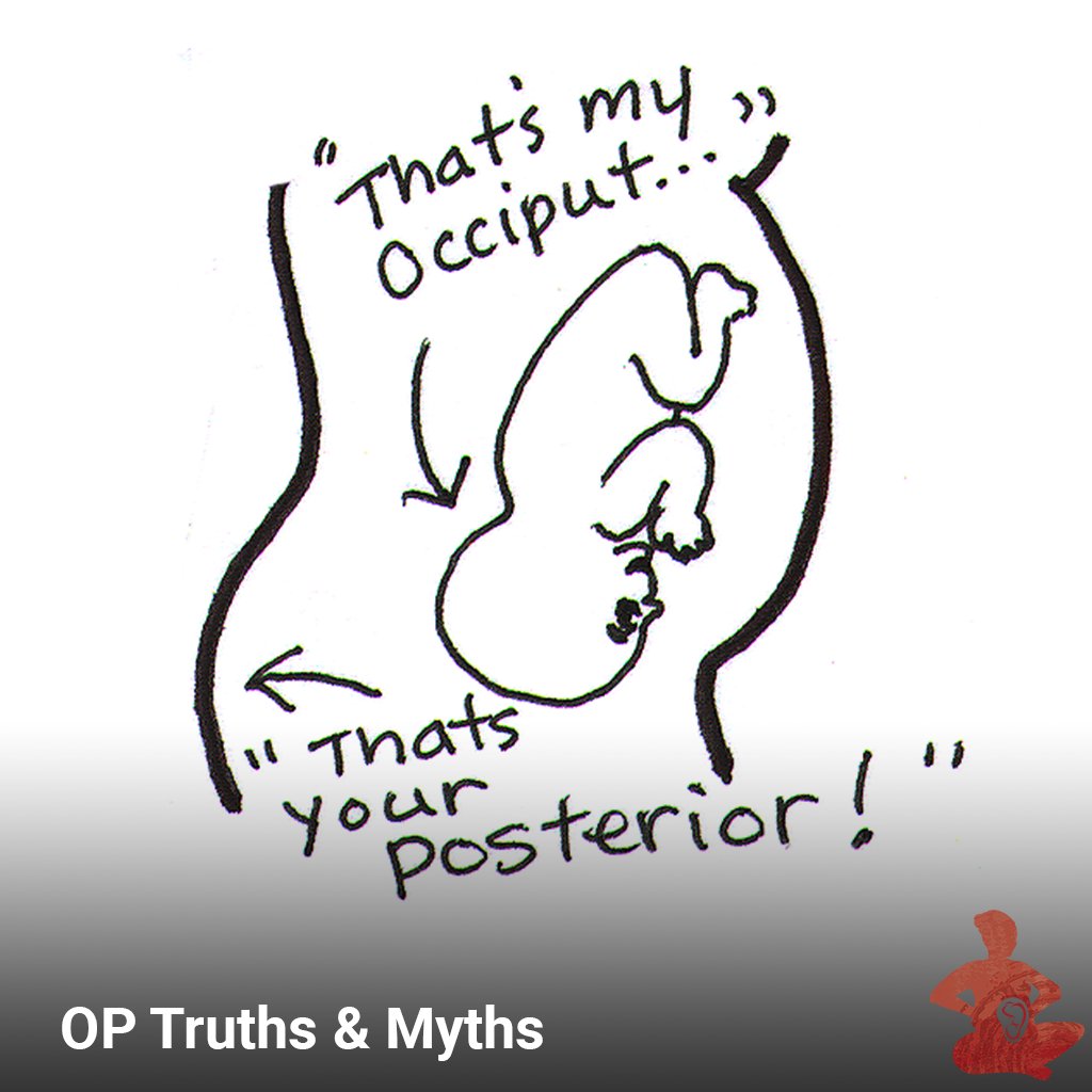 SpinningBabies's tweet image. Parents and professionals alike have some misunderstandings about the influence of #posterior presentation on labor. Here are some of the myths and truths about laboring with a posterior baby: bit.ly/SpB-OP-Truths-… #Childbirth