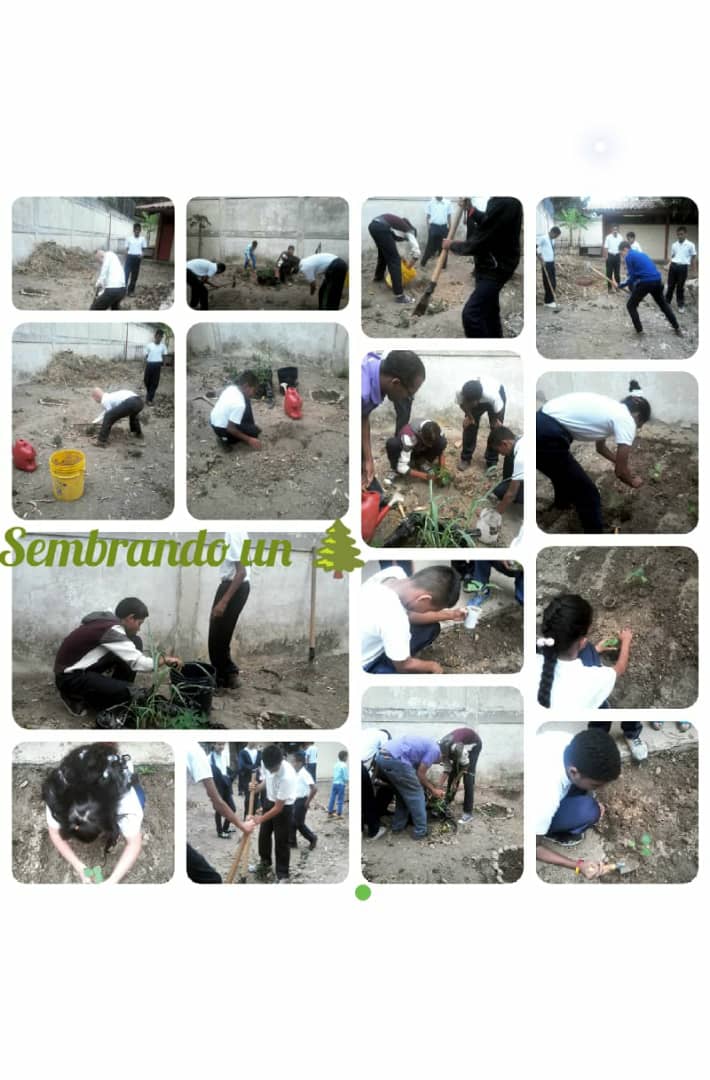 IEE Caricuao participando en la siembra de árboles  <a href="/ZonaEducativaDC/">Zona Educativa Caracas</a> <a href="/JauaMiranda/">Elías Jaua</a> @MPPEDUCACION <a href="/especialmppe/">Dir. General de Educ. Especial</a>