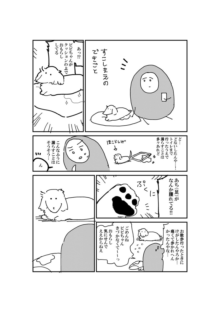 気にしなくていい おもらししてめっちゃ気にする犬 話題の画像プラス 気にしなくていい おもらししてめっちゃ気にする犬 話題の画像プラス