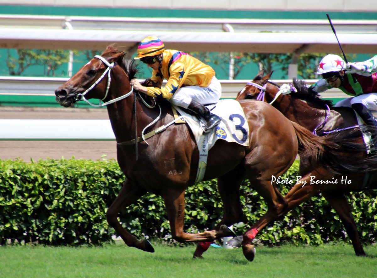 bonbonhyh's tweet photo. Lucky Bubbles no longer at his peak condition😭maybe it's time to decide to retire or not. D.Whyte and Born In China did very well today.
#HKracing #LuckyBubbles #BornInChina #WinnersWay https://t.co/Wtq8BF7B1z