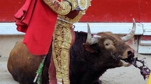 ayore99's tweet photo. Para muchos esto es normal para mí es una atrocidad #TauromaquiaEsViolencia #AbolicionTauromaquia https://t.co/Vf6WxK8T15