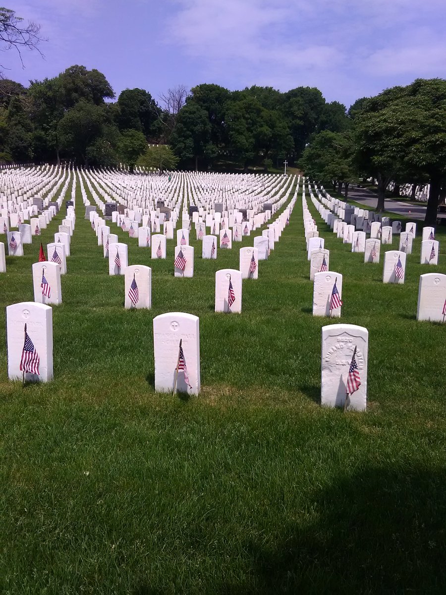 almanigault1's tweet photo. 6175 in memory of our fallen veteran hero's. We placed US Flags at the Cypress Hills National Cemetery. https://t.co/YRqb9ALiie