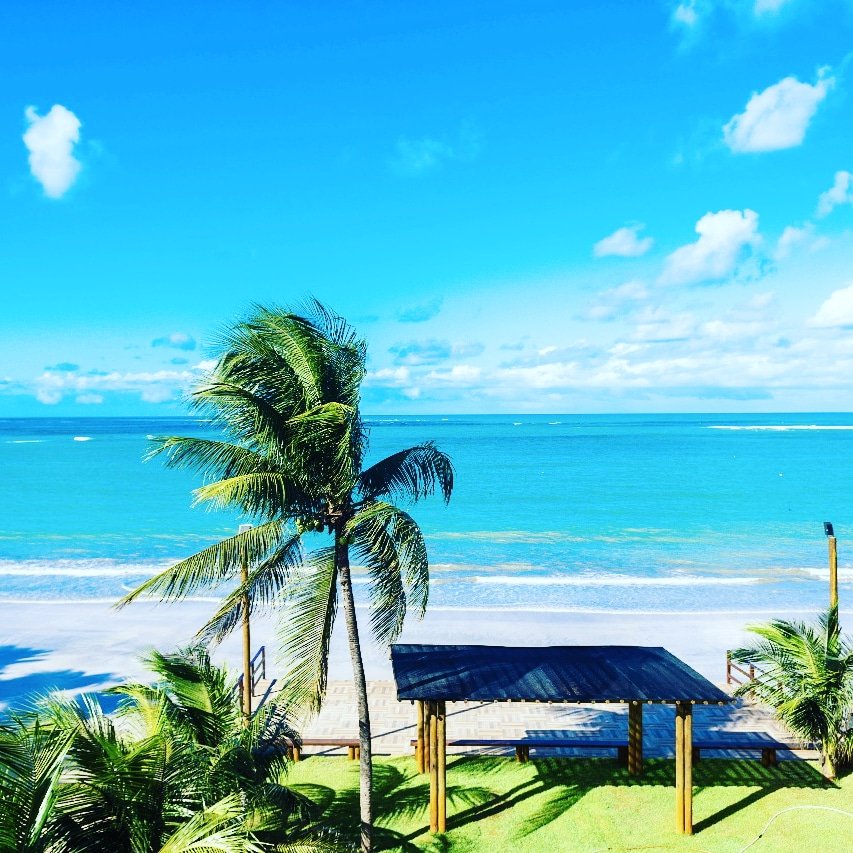 My dear friends, I wish a good Sunday and a week of peace and joy. Peace and health from Recife, Brazil.🌻🌻🌷🌷😊😊🙏