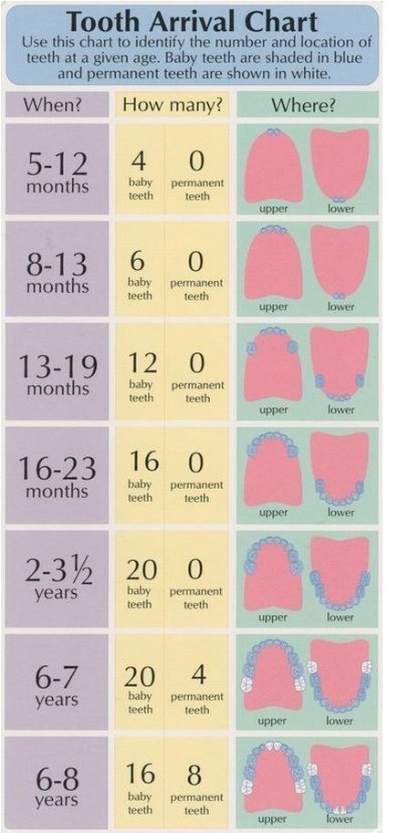 WeLoveBoth's tweet photo. Teething is a tough part of babies and toddlers! 
#Teething #Toddlers #Baby #Parenting https://t.co/mouROmGwO4