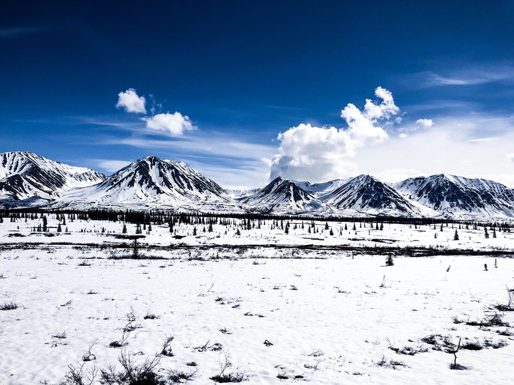 Pay2000lbs's tweet photo. Alaska is such a magical place, more recent photos 📷 ⛰ https://t.co/Cfl5KStBJF
