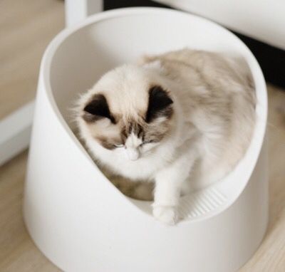 Pidan On Twitter Pidan Snow Mountain Cat Litter Tray