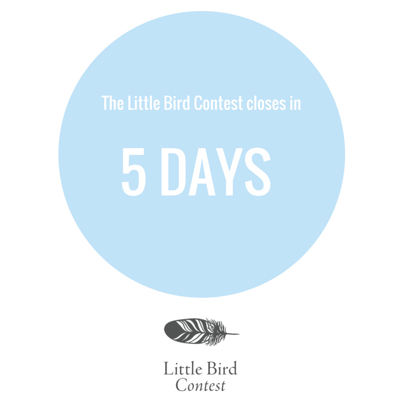 SarahSeleckyWS's tweet photo. Five days left to submit your story to the #LittleBirdContest. Five days. Enough time to write, re-write, re-write again, re-write one last time, edit edit edit, and submit. Right? You can do it. Full contest guidelines here: https://t.co/oZc44tflos https://t.co/bo3YWa0xY8