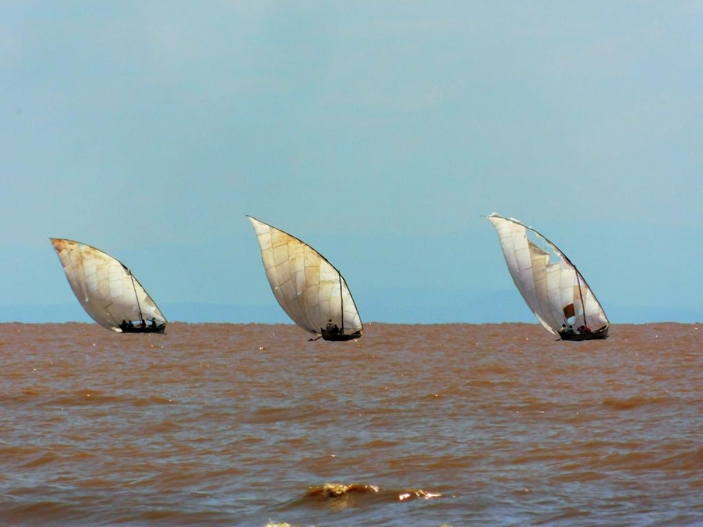 JamesLokwale's tweet image. Lake Turkana: The World's largest desert permanent &amp;amp; alkaline lake is a @UNESCO heritage site in @TurkanaCountyKE. @tunajibu
#TheAfricaTheMediaNeverShowsYou @TheAffinityMag 📷@JamesLast