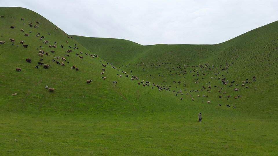 AFGphoenix's tweet photo. Kunduz🇦🇫
-
Nicknamed "the hive of the country", it is the most important agricultural province. https://t.co/3JQDZ5gjNP