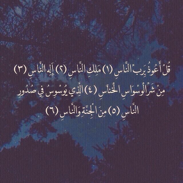 mia_alfadul's tweet photo. ✨ https://t.co/Ffzp7PXjNR