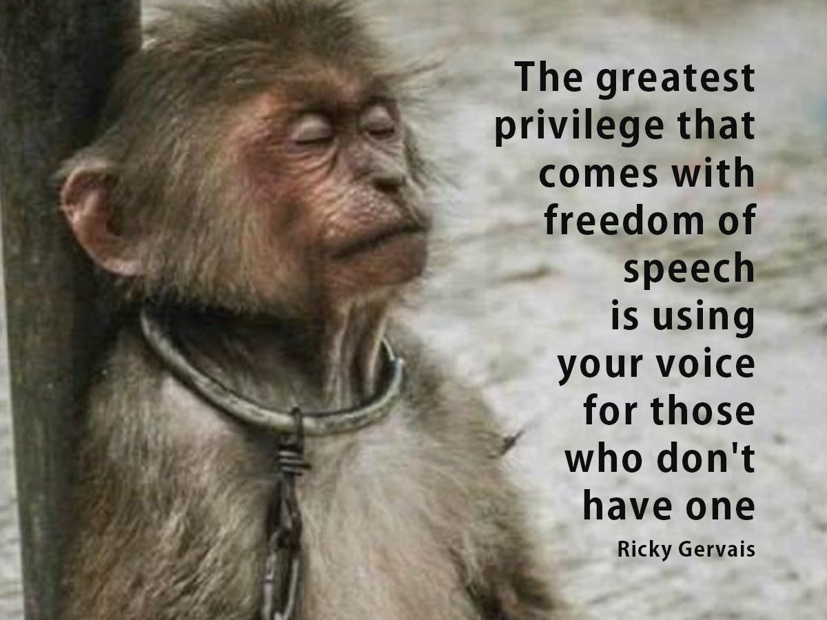 Ricky Gervais (@rickygervais) on Twitter photo 