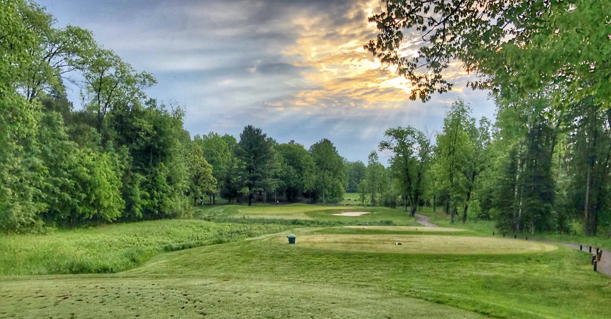 Sunday morning happy place...