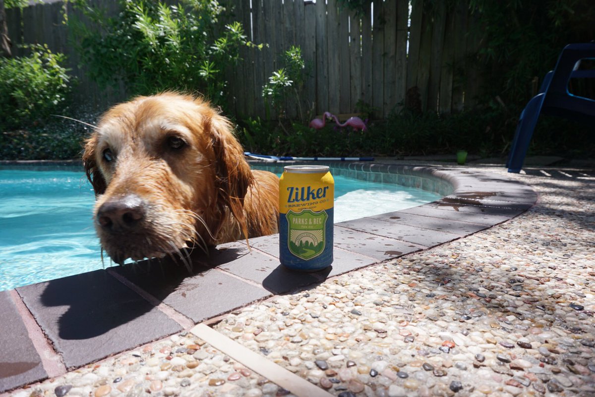 ZilkerBeer's tweet photo. If your not already doing it, find some water, grab your friends🐶, some Zilker Beer, and hunker down for this sizzling🔥 weekend!
#findsomewater #k9friends #parksandrec #memorialdayweekend #zilkerbeer https://t.co/PcmS6zoQzS