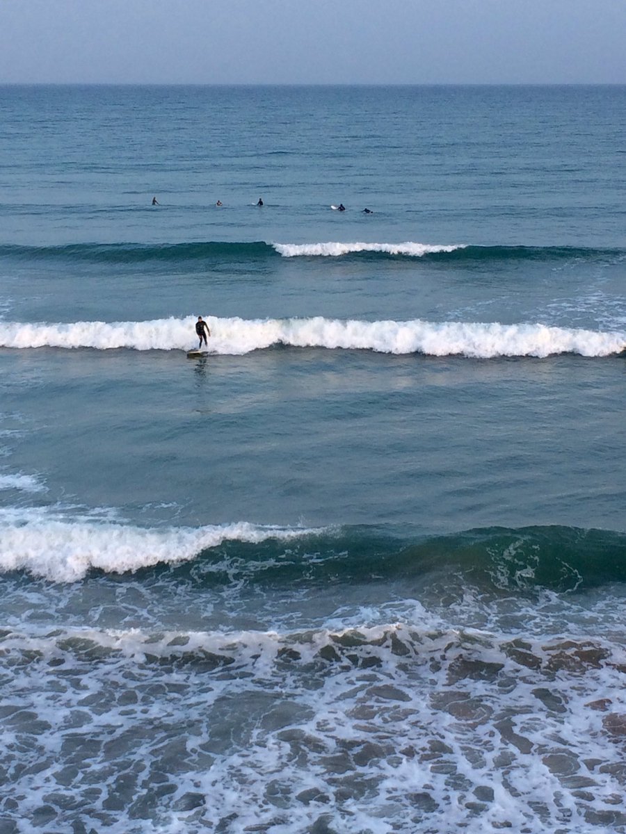 Clara Leonard tweet media