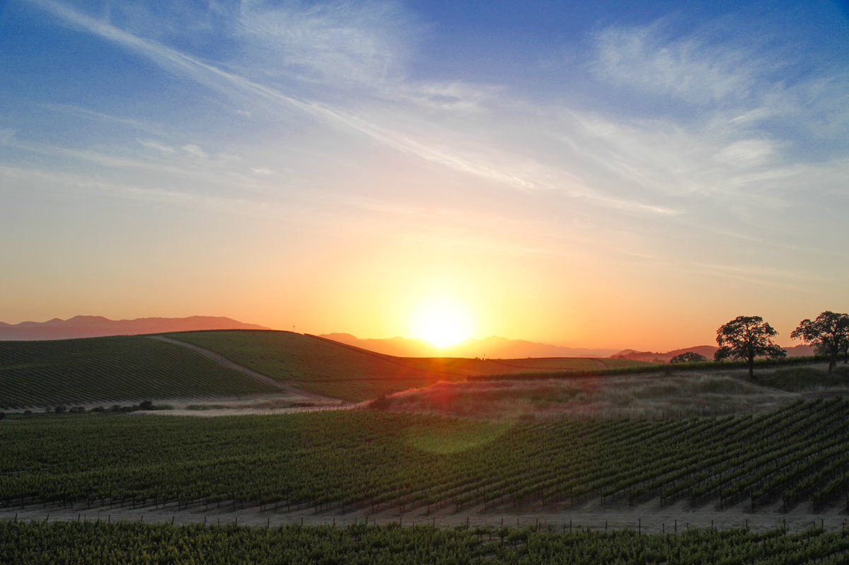 Wine Travel Eats tweet media