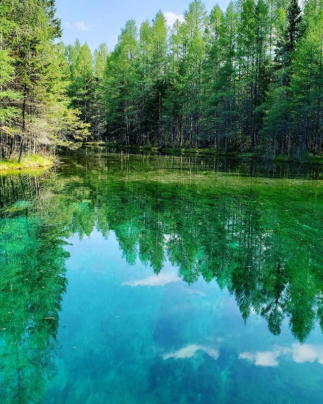 KasiaPetKeeping's tweet photo. Natural spring mixing with a river. I want to call it the fairy fountain because it was magical!
#nature #naturalspring #naturelovers #nature_lovers #water #pure #magical #michigan #creativepetkeeping https://t.co/ob4MVJV86n https://t.co/yaEMXUP7Cb