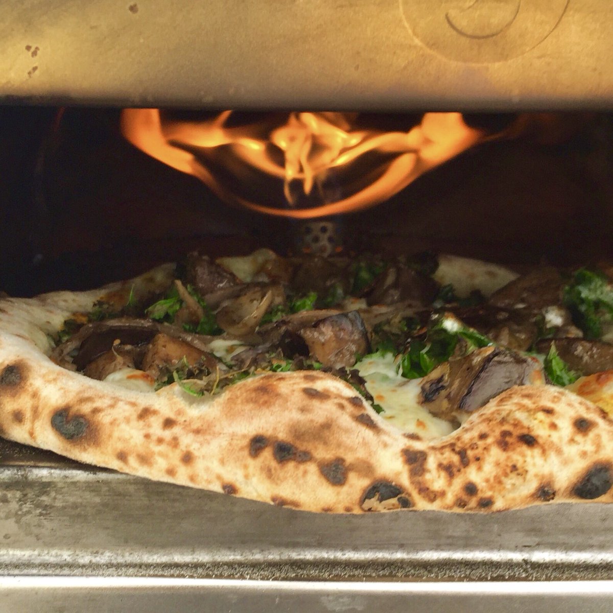 Beer and pizza are made for each other, and today a new food truck is making that perfect pairing come true. Sourcing ingredients from Vida Farms in Waimanalo, this farm to table pizza will definitely complement our island inspired beers. The oven fires at 1pm! 🍕🍺❤️