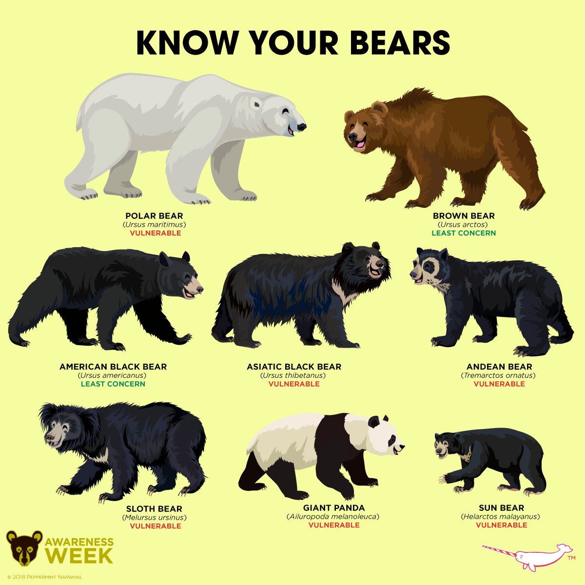Jason Gilchrist P Twitter Do You Know Your Bears BearAwarenessWeek