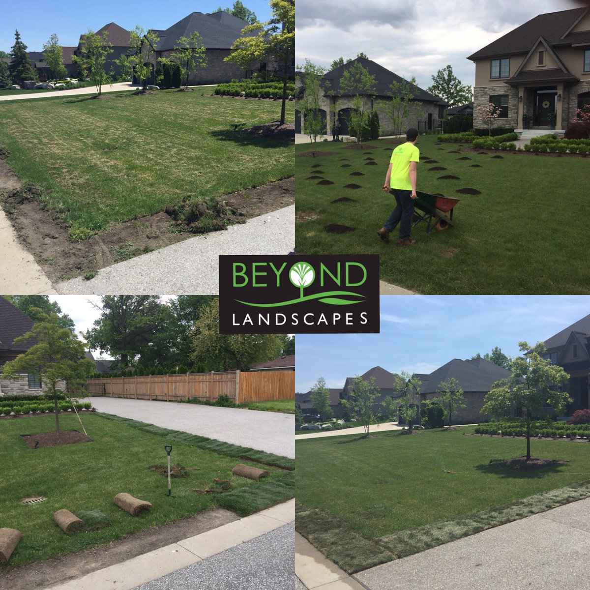 BeyondLandscapz's tweet photo. Lots of lawn repairs lately!  If you’re looking for full/partial turf renovations, get in touch with us today to green up that lawn.  
#sod #seed #thatch  #turf #weeds #landscaping #maintenance #windsor #tecumseh #belleriver #lasalle #essex https://t.co/j9MR1g1P1m