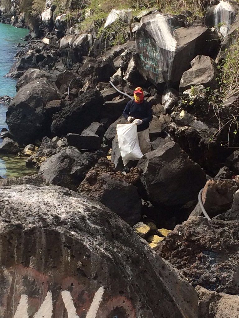 [EN DESARROLLO] #Galápagos <a href="/FrenteIRMG/">Frente Insular de la RMG</a> #SantaCruz, se activa 🚨 en la Limpieza Voluntaria Costera y Submarina Bahía Academia 🌊 ♻️ Desde las 8:00 am con el apoyo de Instituciones y comunidad local.  <a href="/LorenaTapiaN/">Lorena Tapia Núñez</a> <a href="/parquegalapagos/">Parque Galápagos</a> @GalapagosMintur <a href="/CAPAYO2015/">Capitanía Pto. Ayora</a>