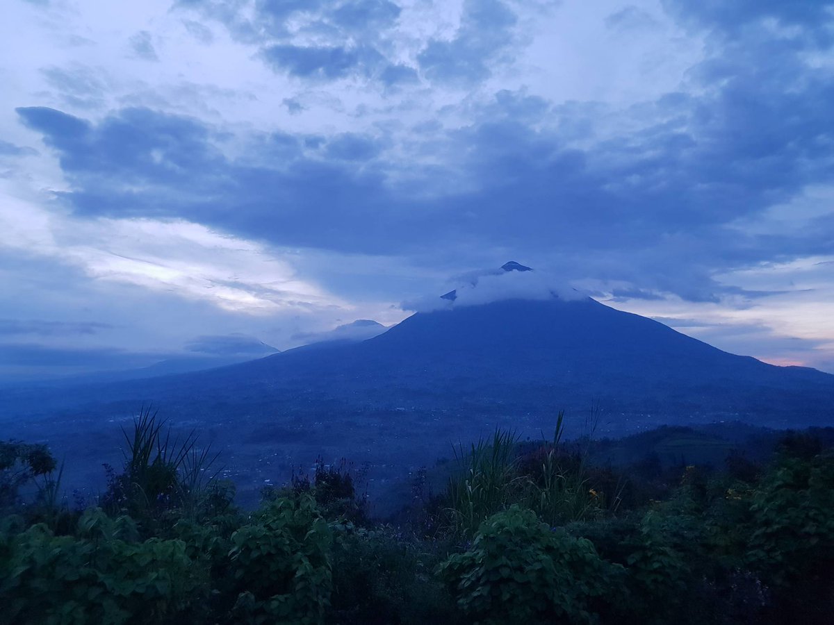 The most magical views of Rwanda #virungalodge #virungas @volcanoessafaris