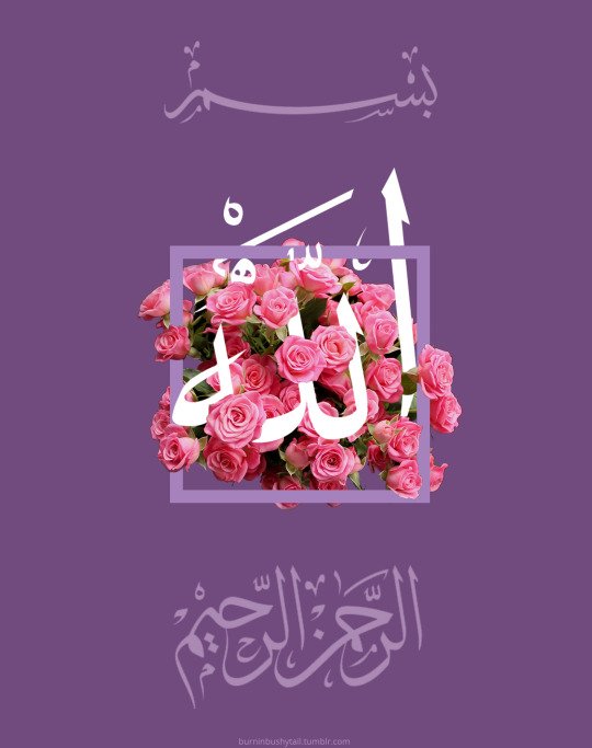 msumar2020 tweet picture