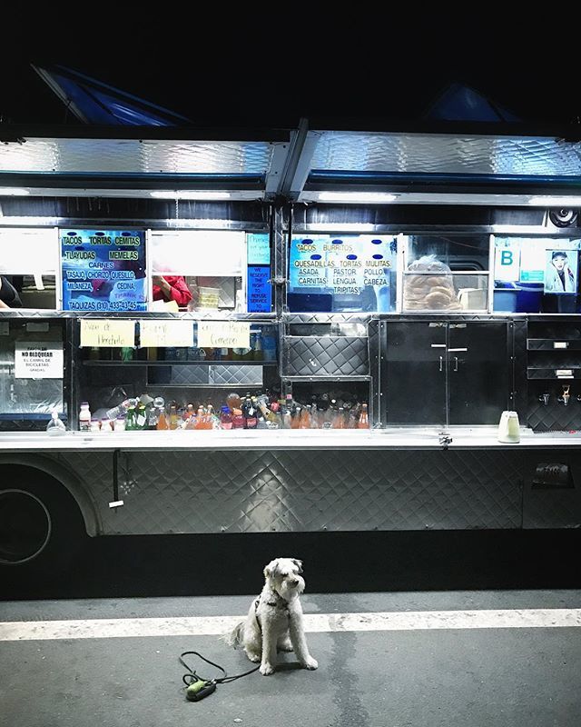 kylehs's tweet image. Last night’s line for carne asada.
#mrmasonjar ift.tt/2ksKH3B