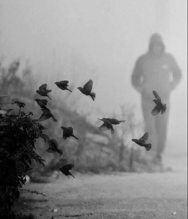 •يومـاً بـعـد يـوم تـبـدو الـحـيـاة أكـثـر وحـشـيـة وكـأن الـعـالـم فـي تـحـدي مـن يـصبـح أكـثـر سـوءًا مـن الآخـر .🚶