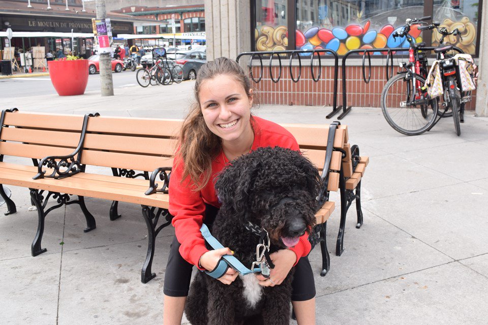 Ottawa pooches soak up morning sunshine at the ByWard Barket.  ottawamatters.com/local-news/ott… https://t.co/bWWNmk1CpS