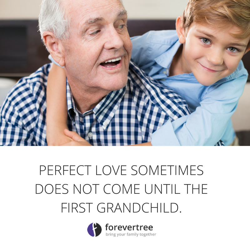 forevertree_'s tweet photo. Whether perfect love exists or not, it is indeed true that the first grandchild is one of the most beloved beings on earth. When the first #grandchild is born, #grandparents are born as well to love, protect, and teach him about the world. ❤️ https://t.co/Do5QG8MRPR