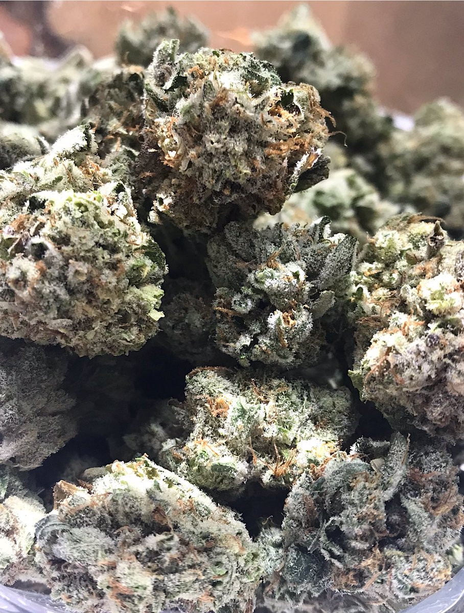 CCCPacoima's tweet photo. Wake &amp; Bake 🔥🔥🔥
#GorillaGlue4 #GG4 #Hybrid https://t.co/6nNk7qINSp