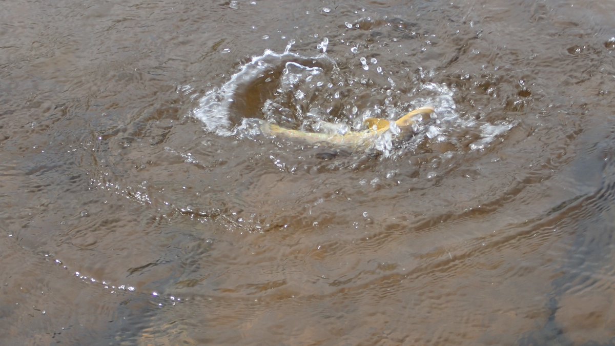 George Barron tweet media