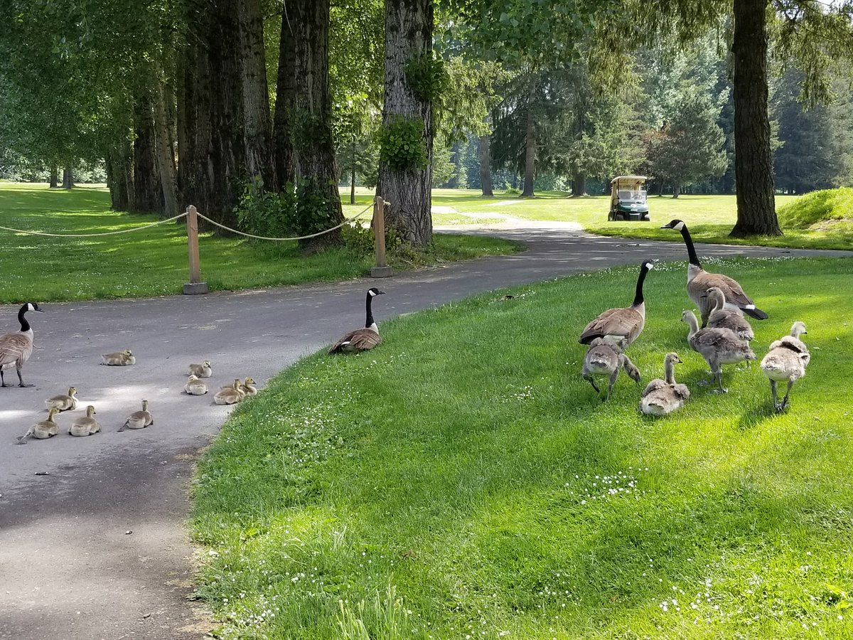 I'm surprised they let me get this close.we have several family visiting the course today..