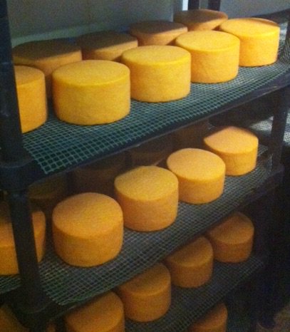 BritCheeseAward's tweet photo. Awards countdown: #cheesemakerday  @suecheesemaker  Keltic Gold maturing in the cold room #BCA18 https://t.co/qUEnYLUCbJ