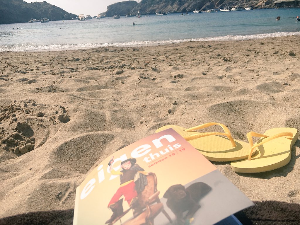 Bitoen Tran tweet media