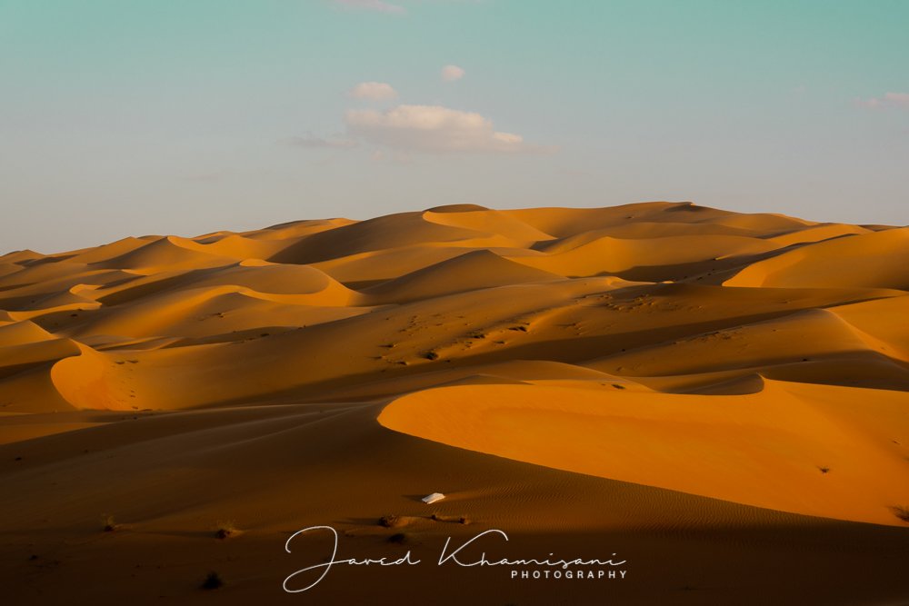 My love with Liwa Desert Dunes continues... ♥️  #AbuDhabi 
#liwa #liwadesert #UAE #landscape #desertscape #photography #Travel #Tourism #nikon #500pxrtg #PhotoRTG #ViaAStockADay #onlygreatpic #500px #igersuae #igersdubai #photographysouls #photographyislife #photographyisart